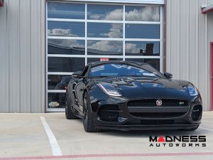 Jaguar F-TYPE Exterior Trim - Carbon Fiber - Radiator Grille Center Cover